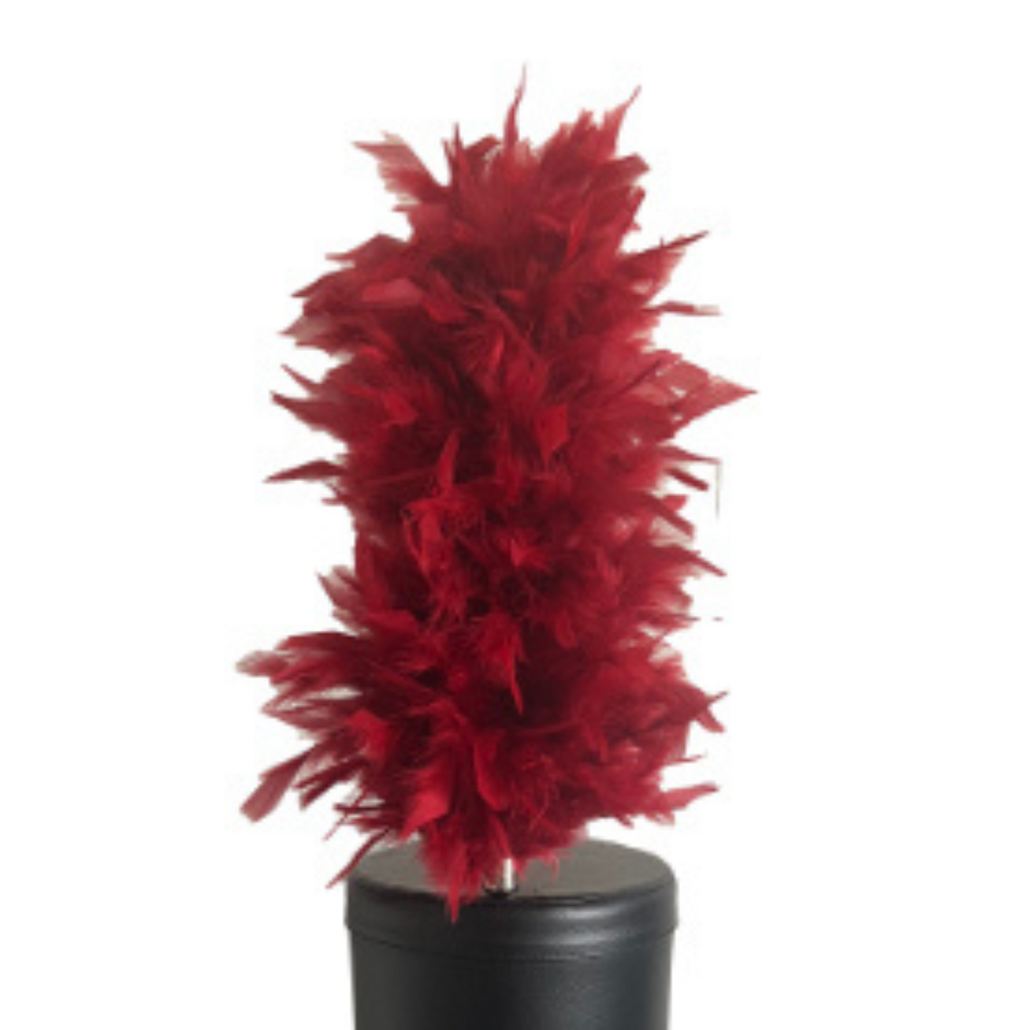IN-STOCK Merlot 14" French, Extra Full, Upright Plume