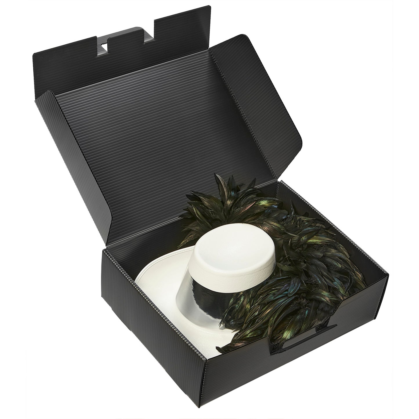 Clear cylindrical PlastiPak Aussie hat box with black base and lid, featuring molded interior supports and sturdy clip-lock closure—ideal for packing and protecting wide-brimmed hats.