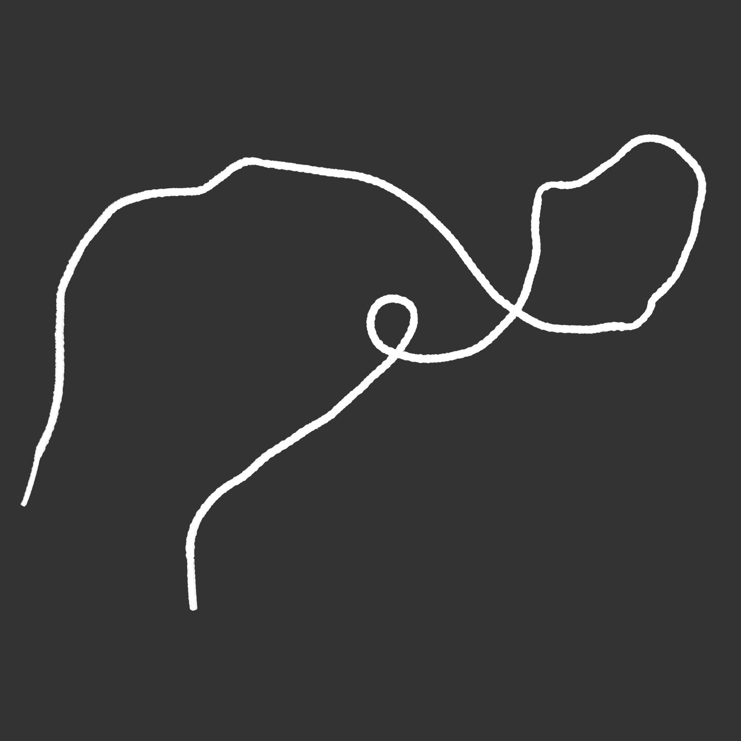 Suspension Cords (Dozen)