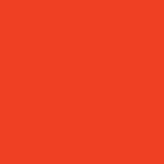 Hibiscus (Orange)