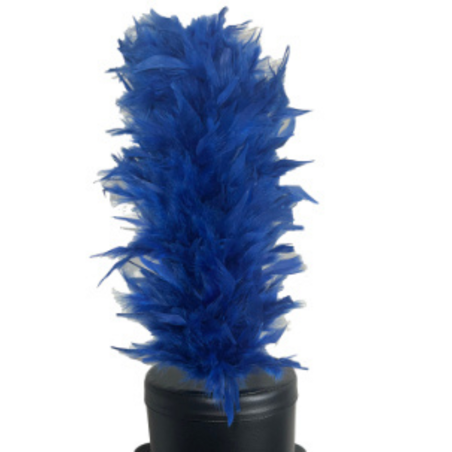 IN-STOCK Cosmic Blue 14" French, Extra Full, Upright Plume